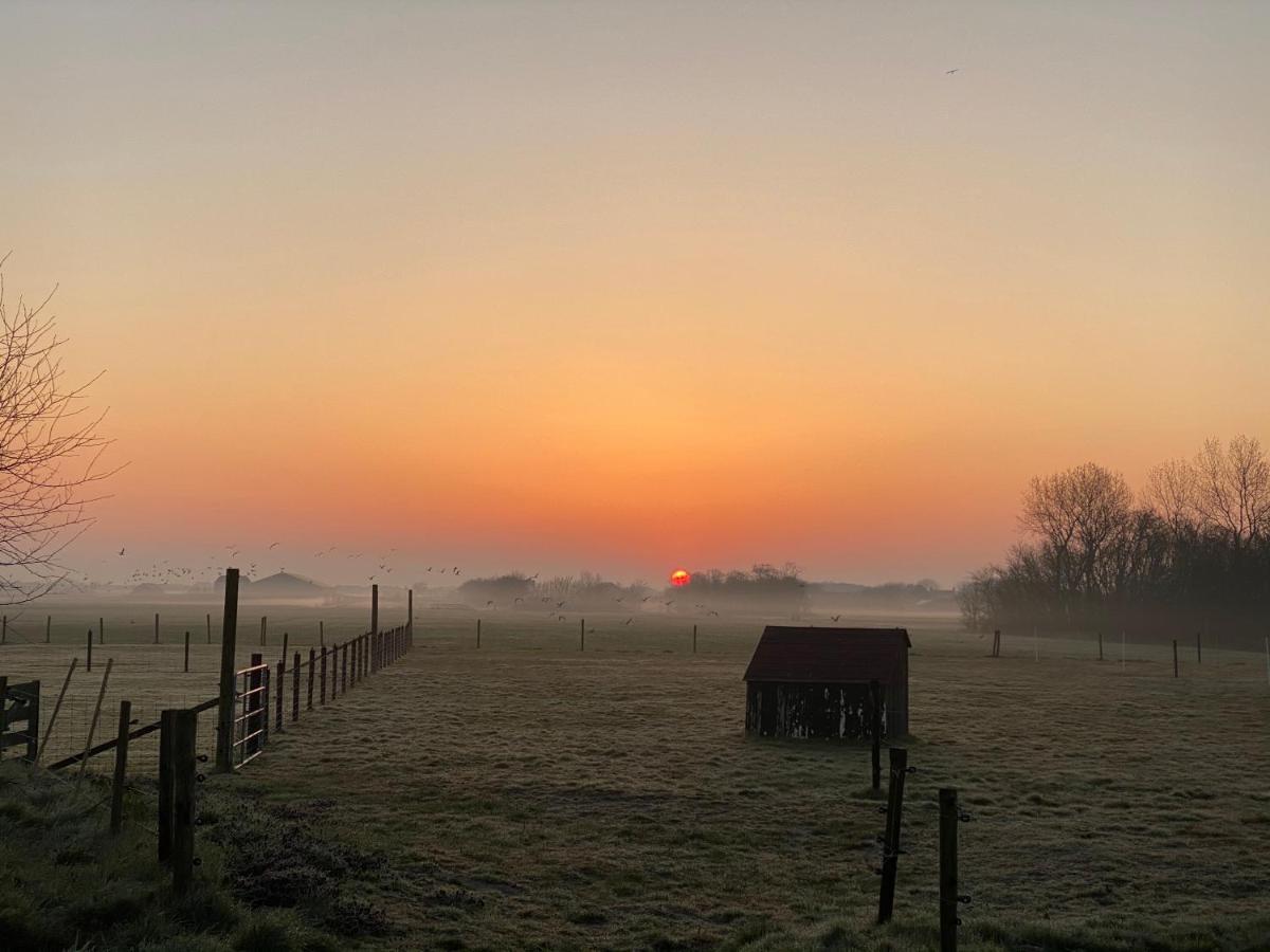 Bed and Breakfast Logies Boszicht Texel De Koog  Zewnętrze zdjęcie